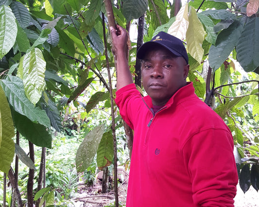 Raising the Bar for Coffee: Amani Founders Q&A