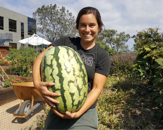 Strong, Vulnerable, and Always Essential: Women in Food