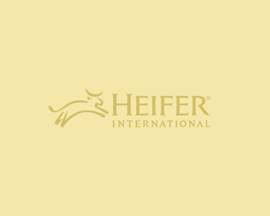 Collaborating and Contributing: Hive and Heifer International