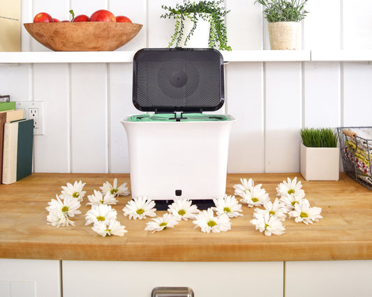 The Dirt on Compostable Packaging with Jamie