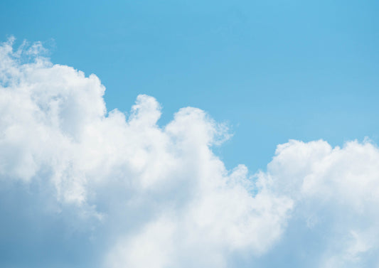 Hot Summer, Hotter Earth: What's Carbon Got to Do With It?