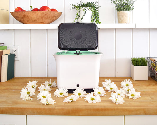 Self-Care, Meet Planet-Care