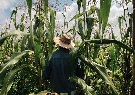 Farming for a Better Future