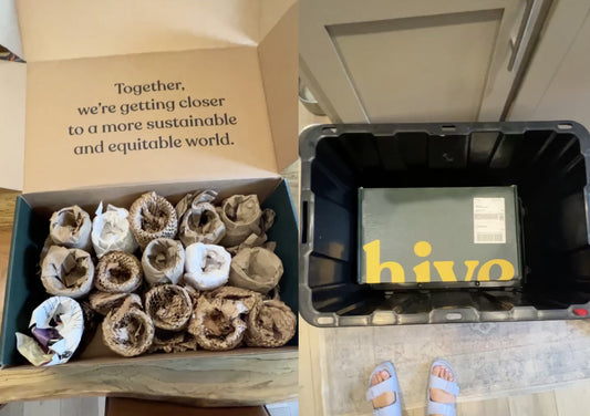 Packing With the Planet in Mind