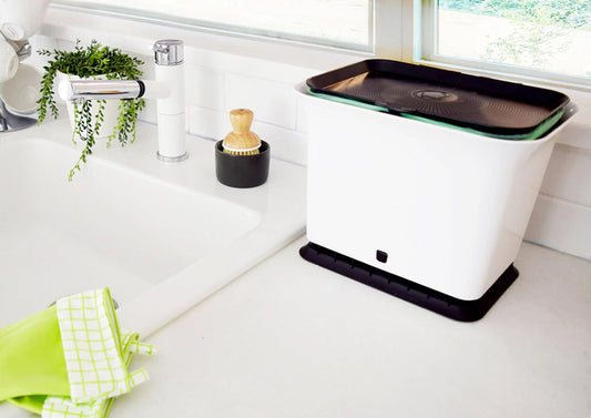 compost bin on kitchen counter