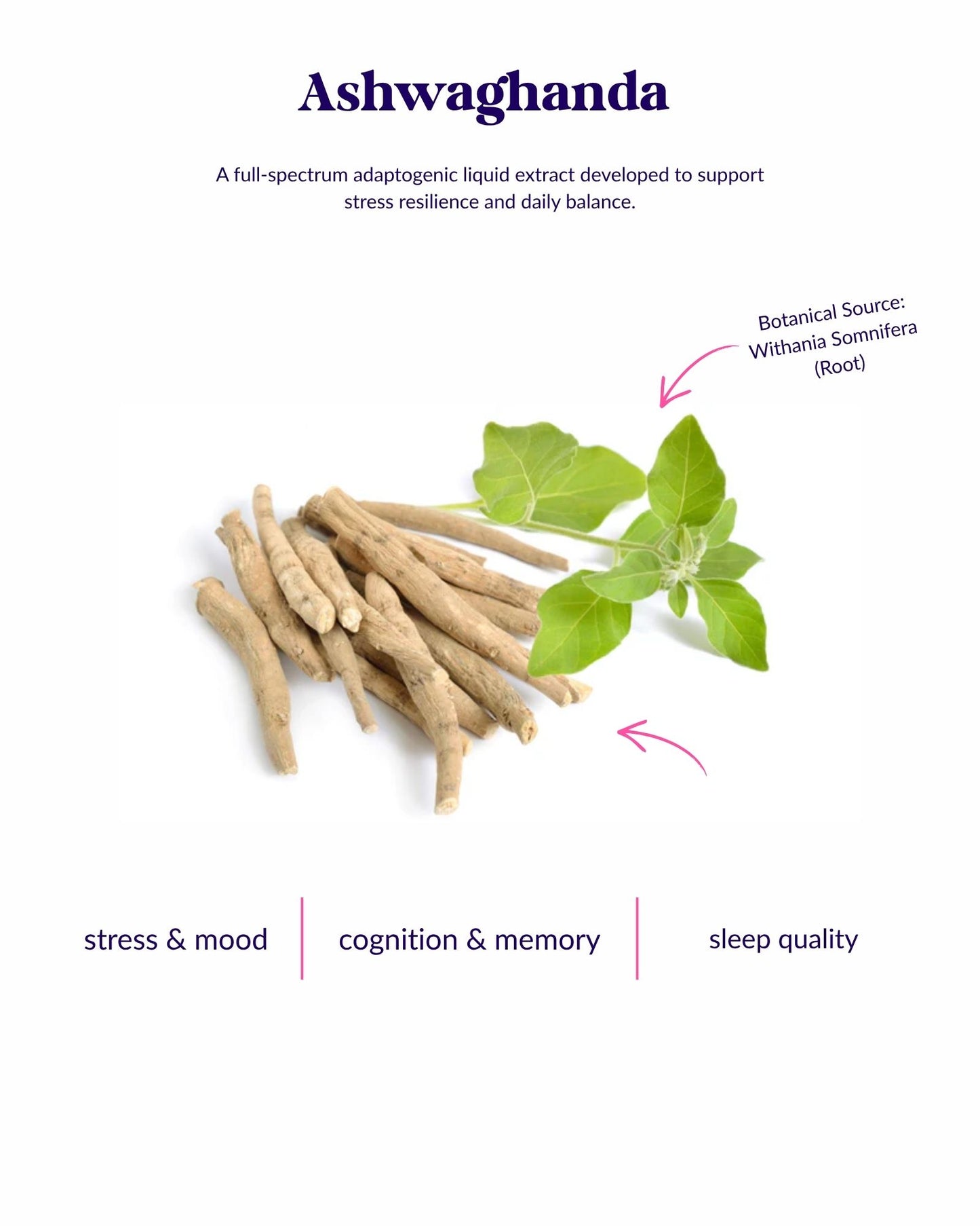 Organic Ashwaganda Tincture